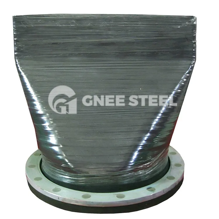 Valva de verificare a rațelor