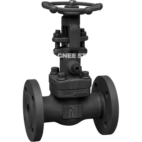 API 602 Supapă de poartă falsificată