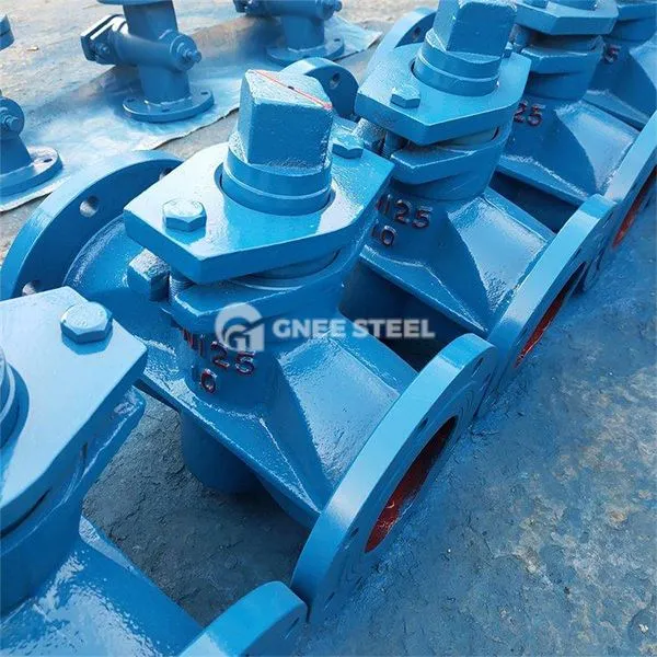 Supapă de dop de izolare dublă