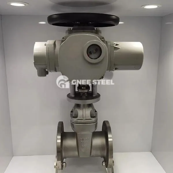 Valvele de poartă acționate electrice