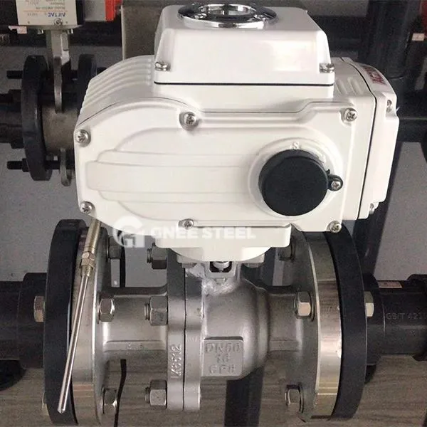 Supapă de verificare electrică