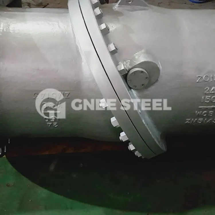 Supape de reținere cu disc basculant cu flanșă