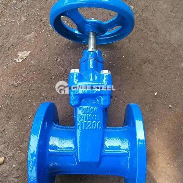 Flexible Wedge Gate Valves