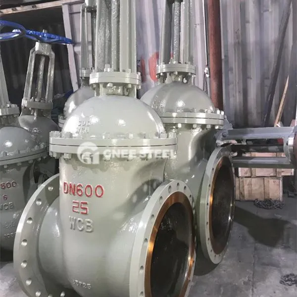 Valvele de poartă industrială