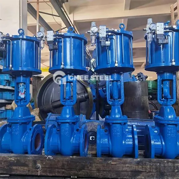 Supape de poartă pneumatică