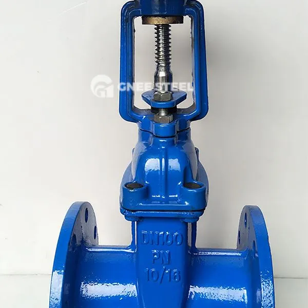 Supape de poartă a scaunului rezistent