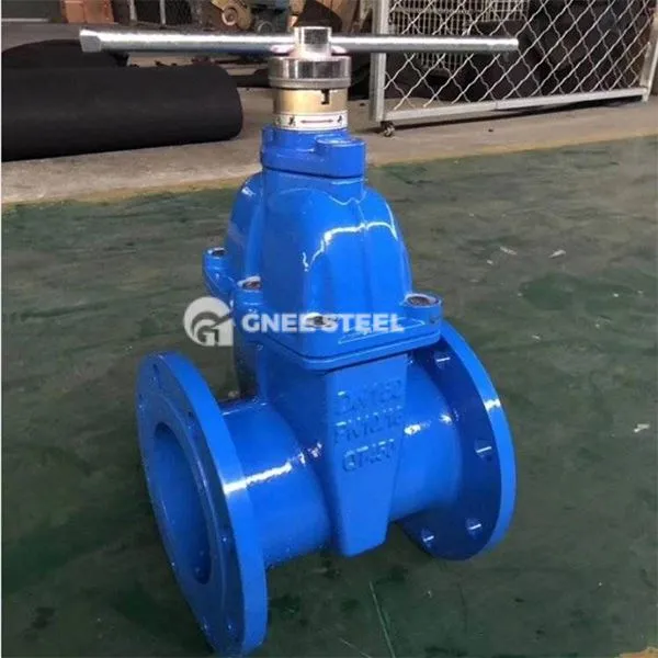 Supape de poartă așezate rezistente