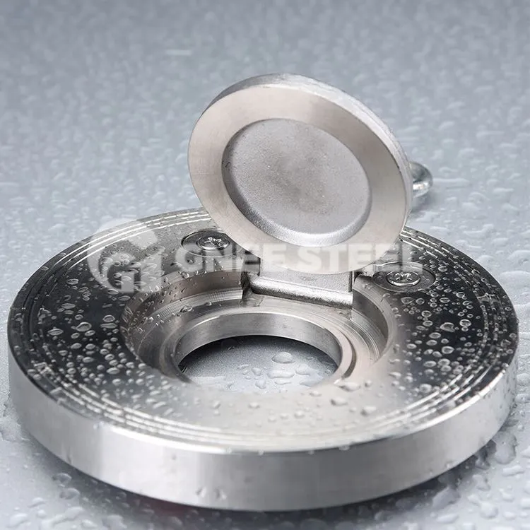 Supapă de reținere cu un singur disc