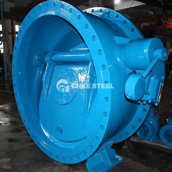 Supapă de verificare a plăcii unice