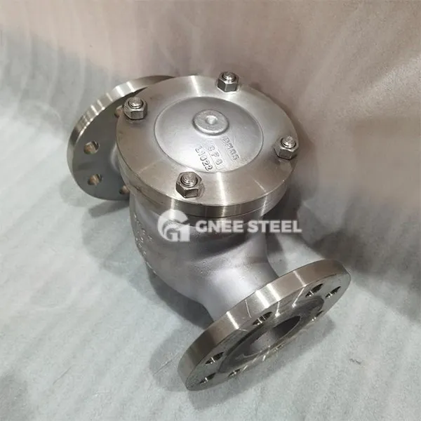 Ss Check Valve